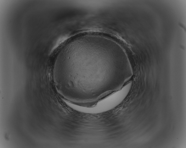 X0000093441255200710121326