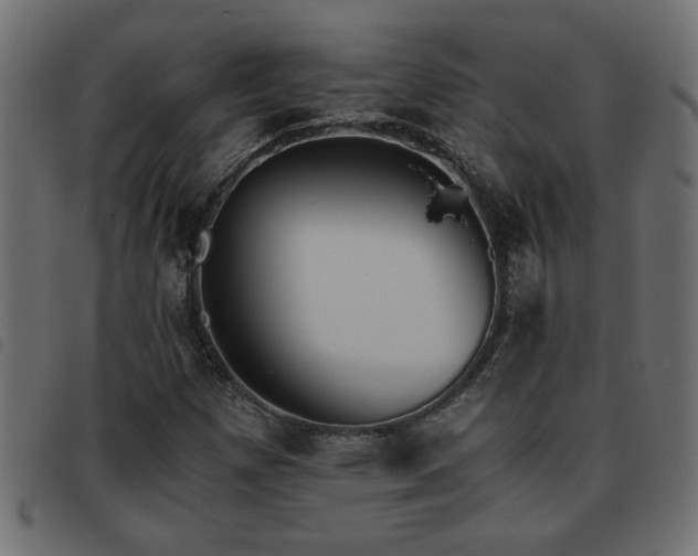 X0000093441257200710121325