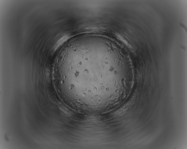 X0000093441259200710121325
