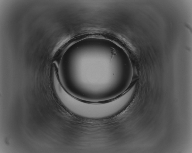 X0000093441261200710121325