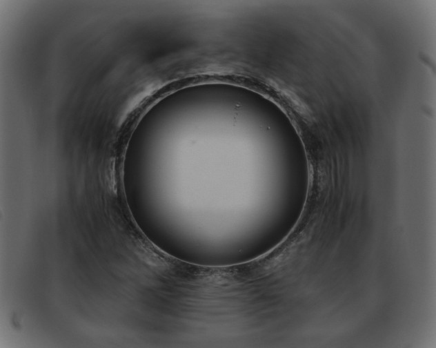 X0000093441262200710121325