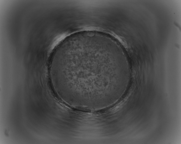 X0000093441263200710121325