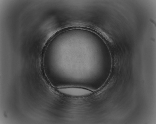 X0000093441264200710121325