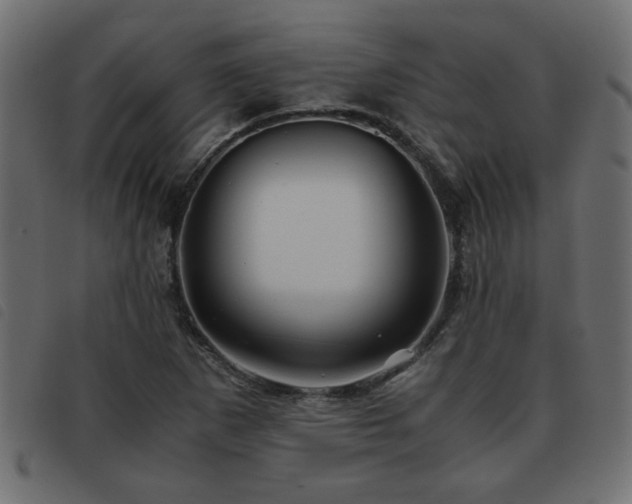 X0000093441265200710121325