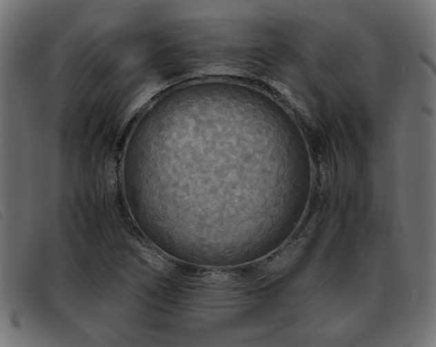 X0000093441266200710121325