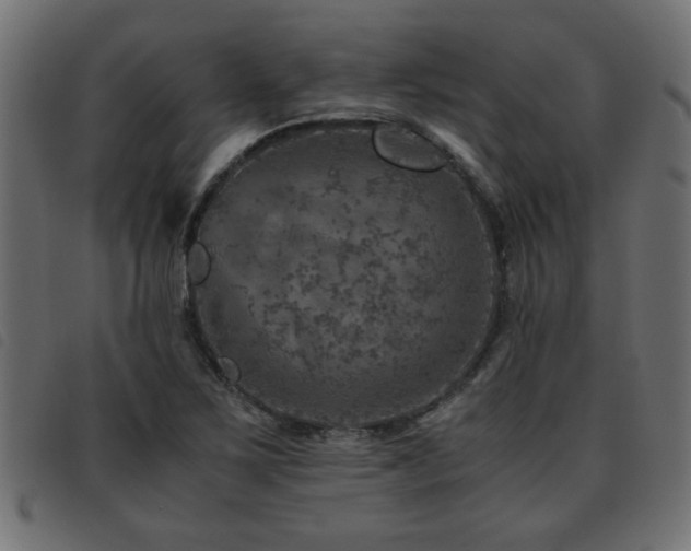 X0000093441267200710121325