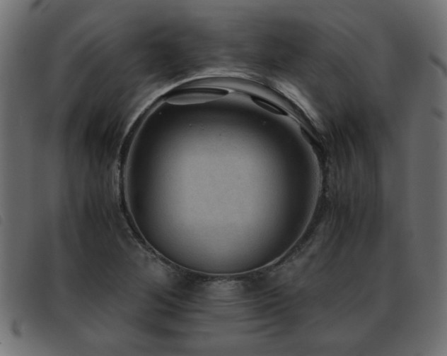 X0000093441268200710121325