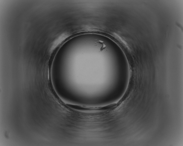 X0000093441269200710121325