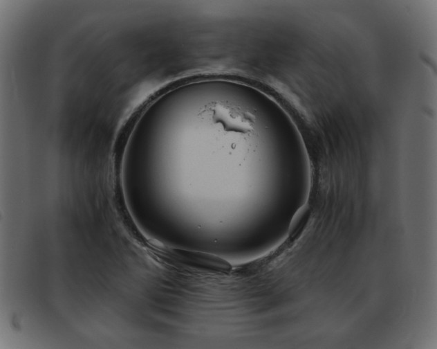 X0000093441270200710121325