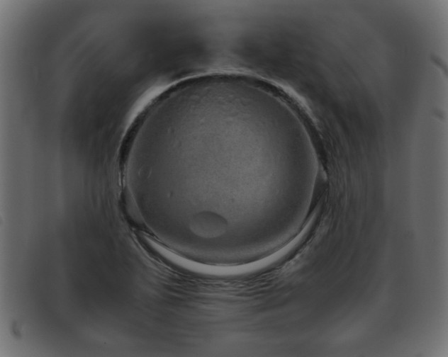 X0000093441271200710121325