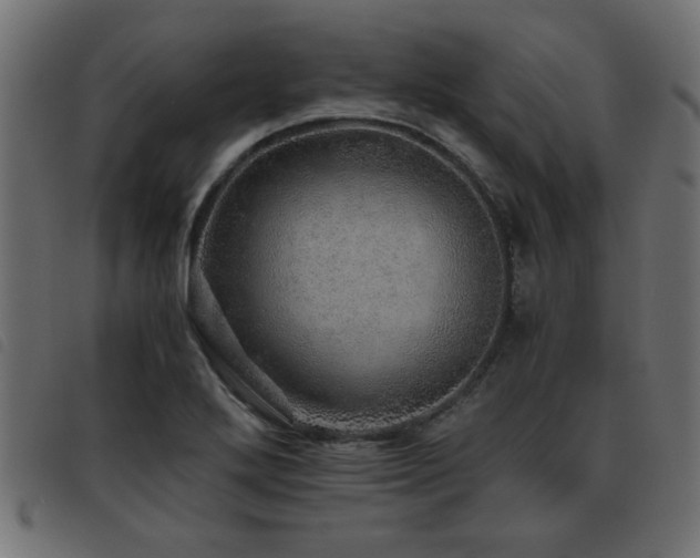 X0000093441272200710121325