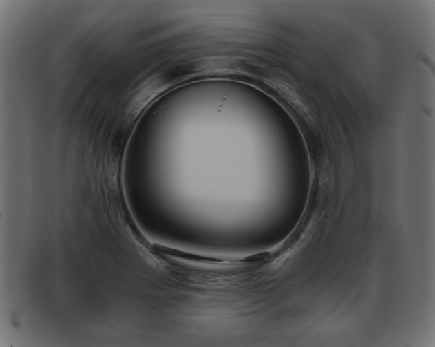 X0000093441273200710121325