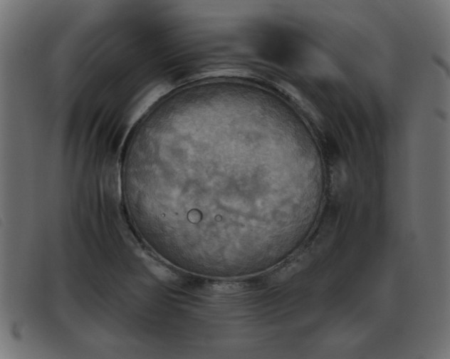 X0000093441274200710121325