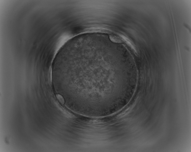 X0000093441275200710121325
