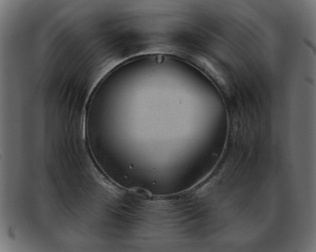 X0000093441276200710121325