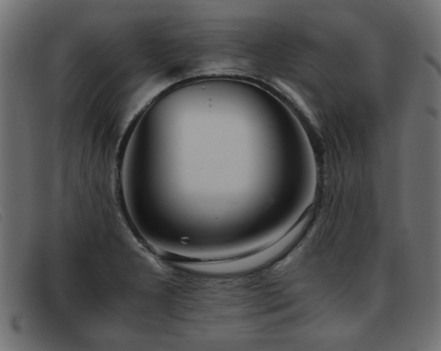 X0000093441277200710121325