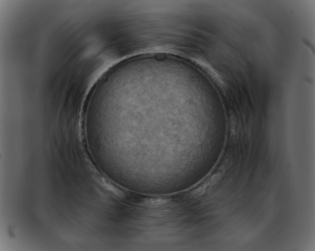 X0000093441278200710121325