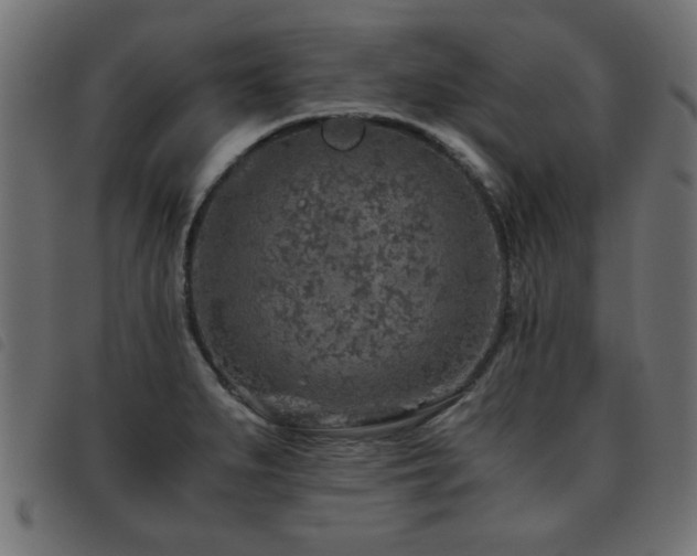 X0000093441279200710121325
