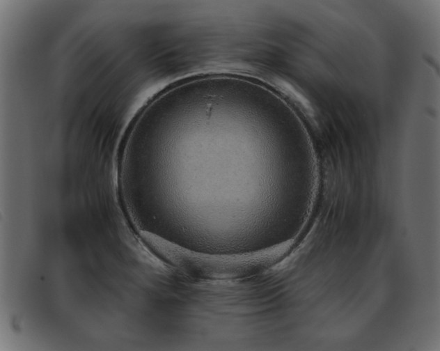 X0000093441280200710121325