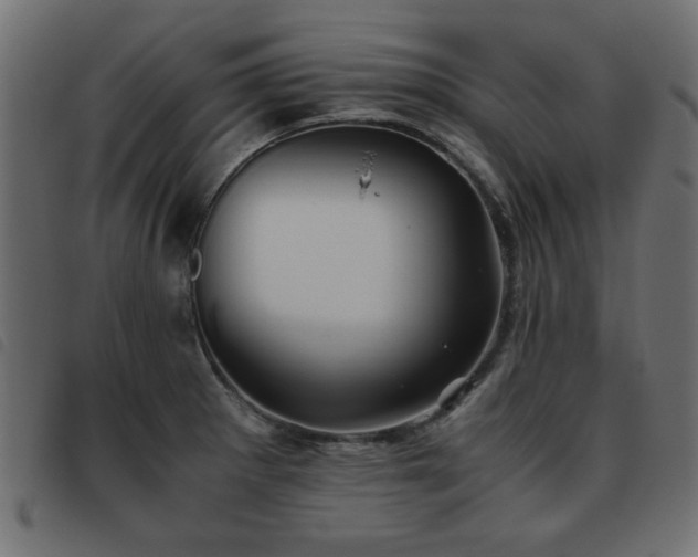 X0000093441281200710121325