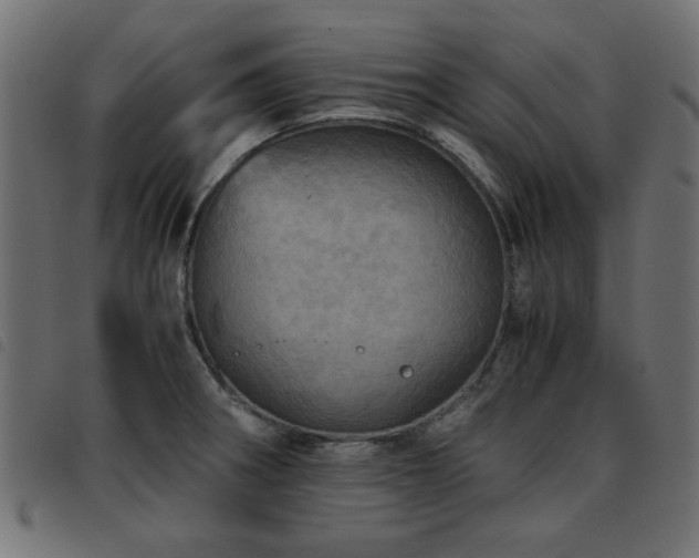 X0000093441282200710121325