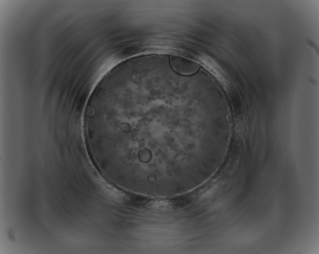 X0000093441283200710121325