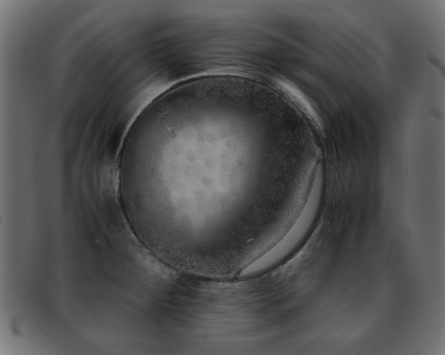 X0000093441284200710121325