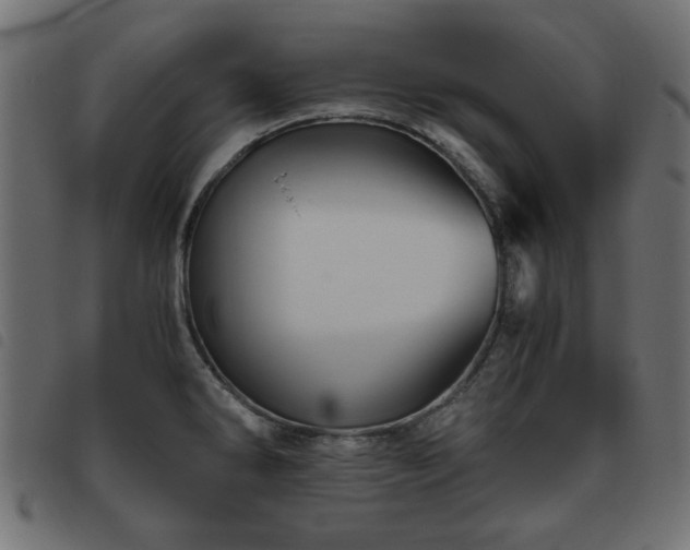 X0000093441286200710121325