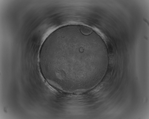 X0000093441287200710121325