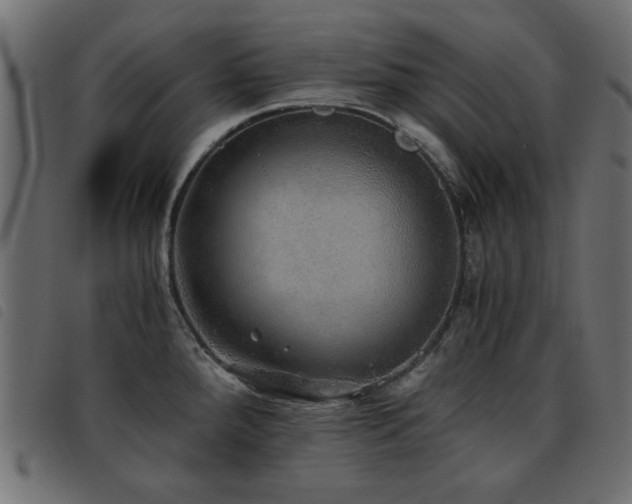 X0000093441288200710121325