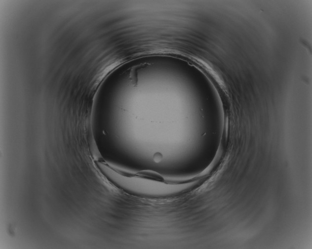X0000093441289200710121325