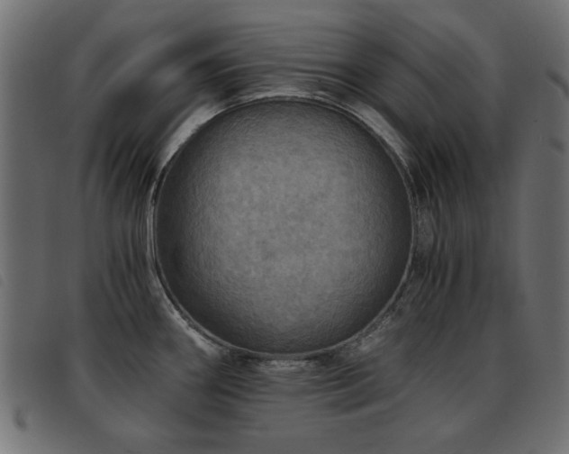 X0000093441290200710121325