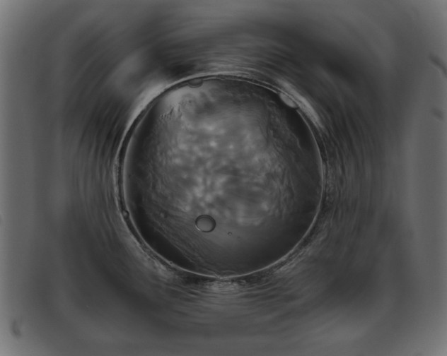 X0000093441291200710121325