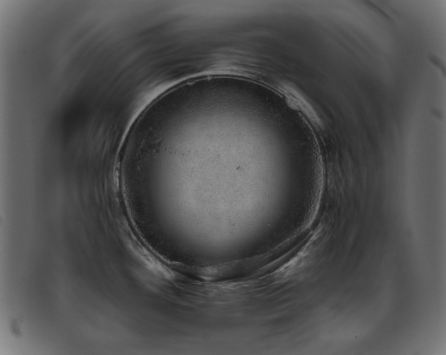 X0000093441292200710121325