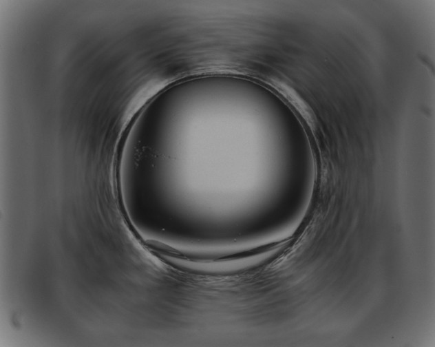 X0000093441293200710121325