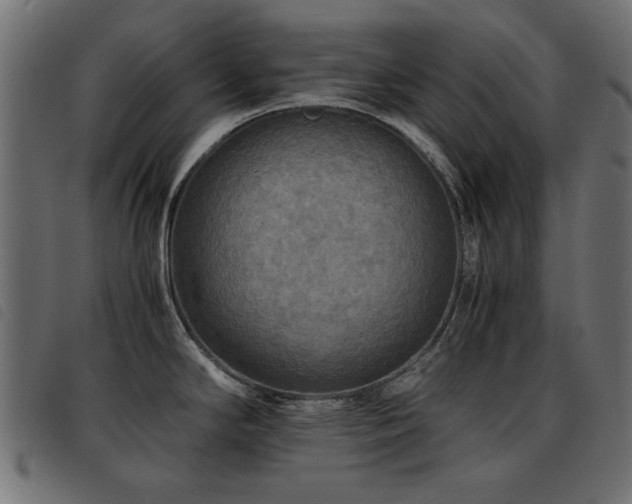 X0000093441294200710121325