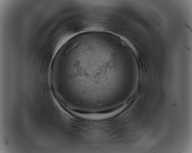 X0000093441295200710121325