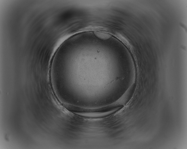 X0000093441296200710121325