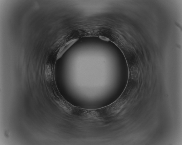 X0000093441298200710121324