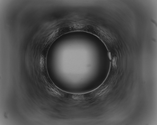 X0000093441299200710121324