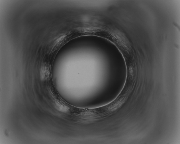 X0000093441300200710121324