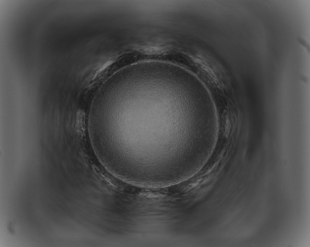 X0000093441301200710121324