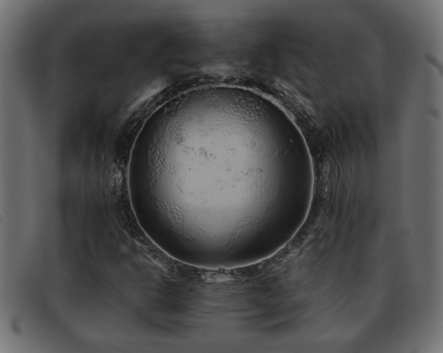 X0000093441302200710121324