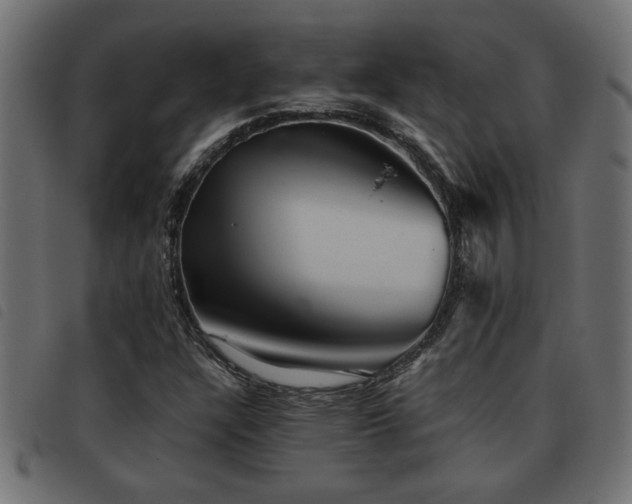 X0000093441304200710121324
