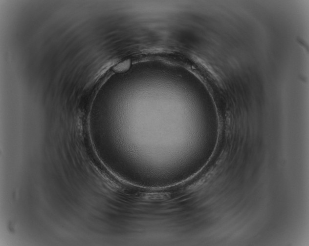 X0000093441305200710121324