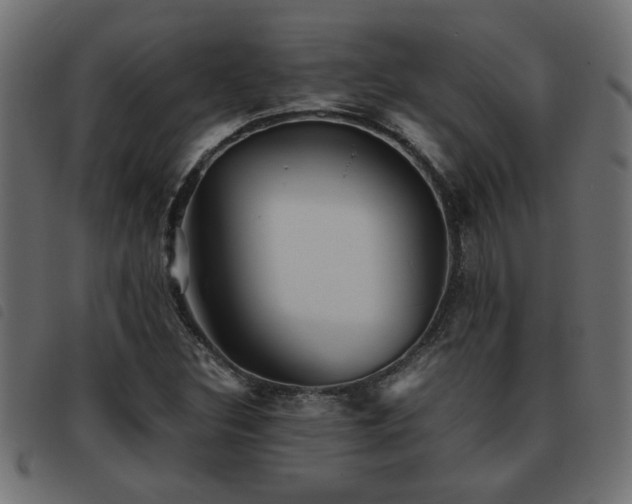 X0000093441308200710121324