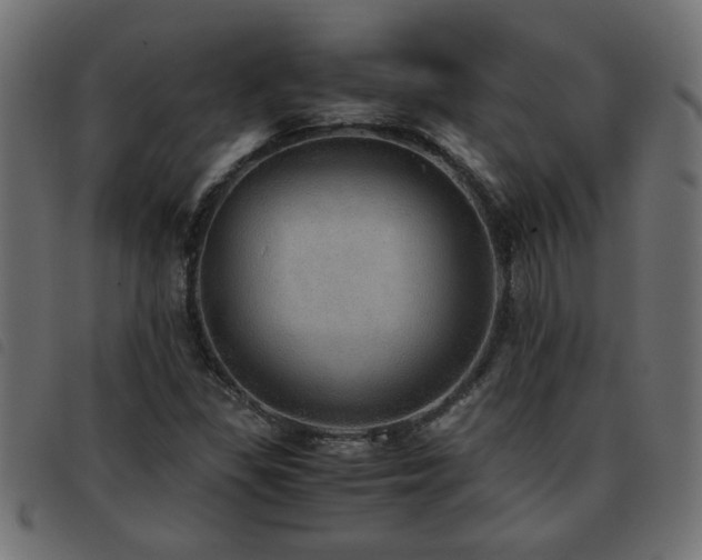 X0000093441309200710121324