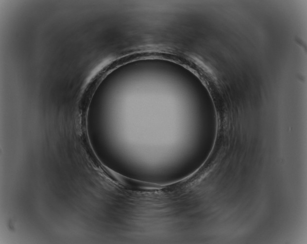 X0000093441310200710121324