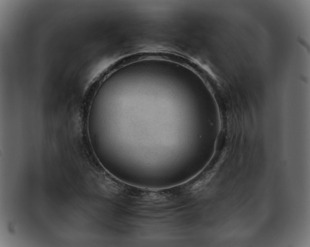 X0000093441311200710121325