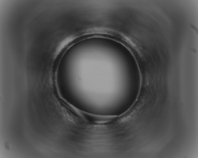 X0000093441312200710121325